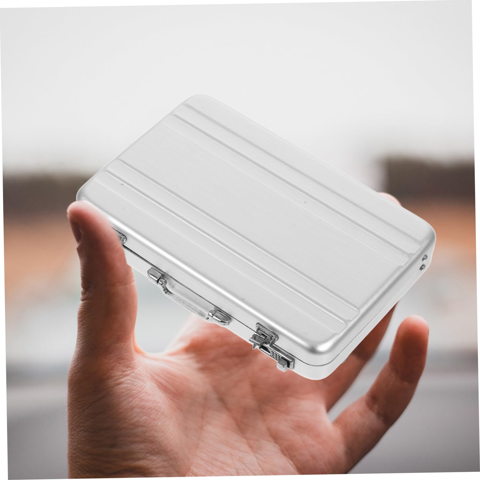 Tofficu 5 Cajas De Almacenamiento Para Tarjetas De Presentación Soporte Para Tarjetas De Presentación Organizador De Tarjetas De Memoria Flash Soporte Para Tarjetas De Índice Soporte