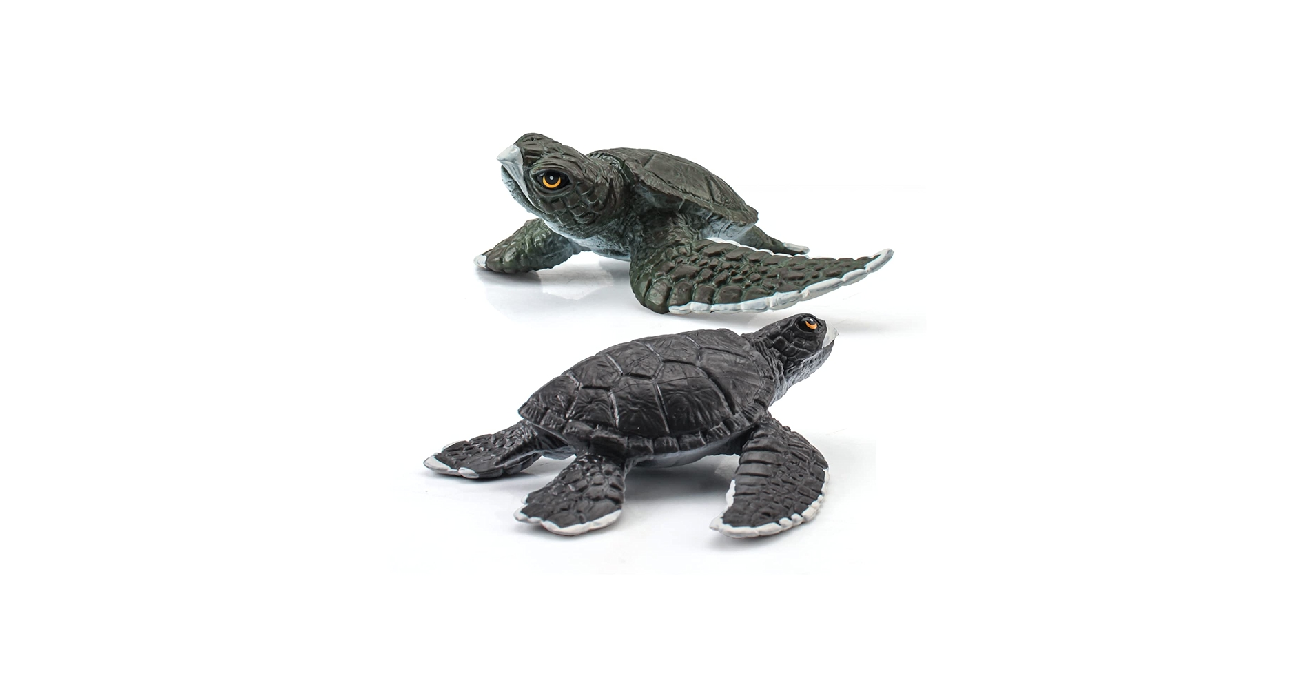 ウミガメの模型 レプリカ 海洋生物模型 imgrc0165505383.jpg