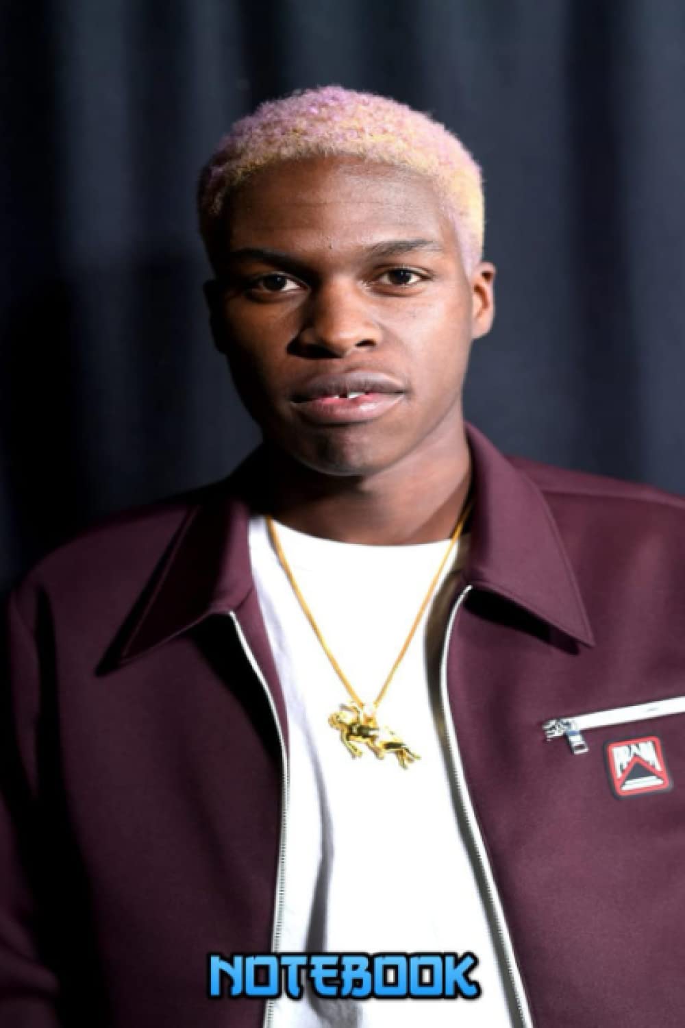 Notebook : Daniel Caesar Notebook Journal Gift Book for Writing, Thankgiving Notebook Gift Idea , for Fans #592