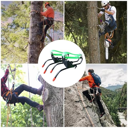 Pics d'escalade pour arbre et outil multiple de griffe de chat