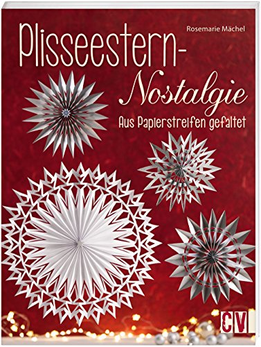 Plisseestern-Nostalgie: Aus Papierstreifen gefaltet