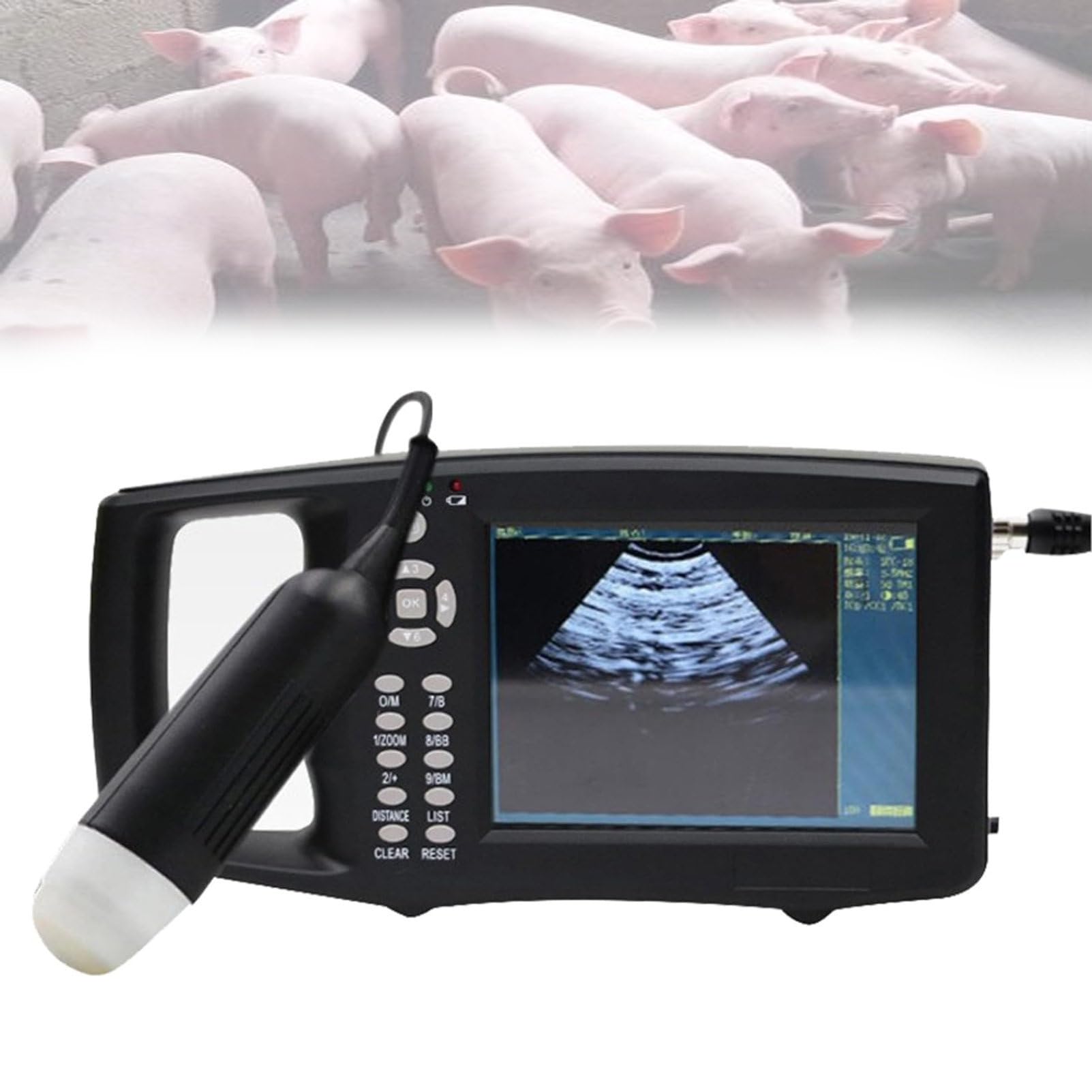 Analizzatore portatile di ultrasuono con la sonda convessa per la diagnostica veterinaria