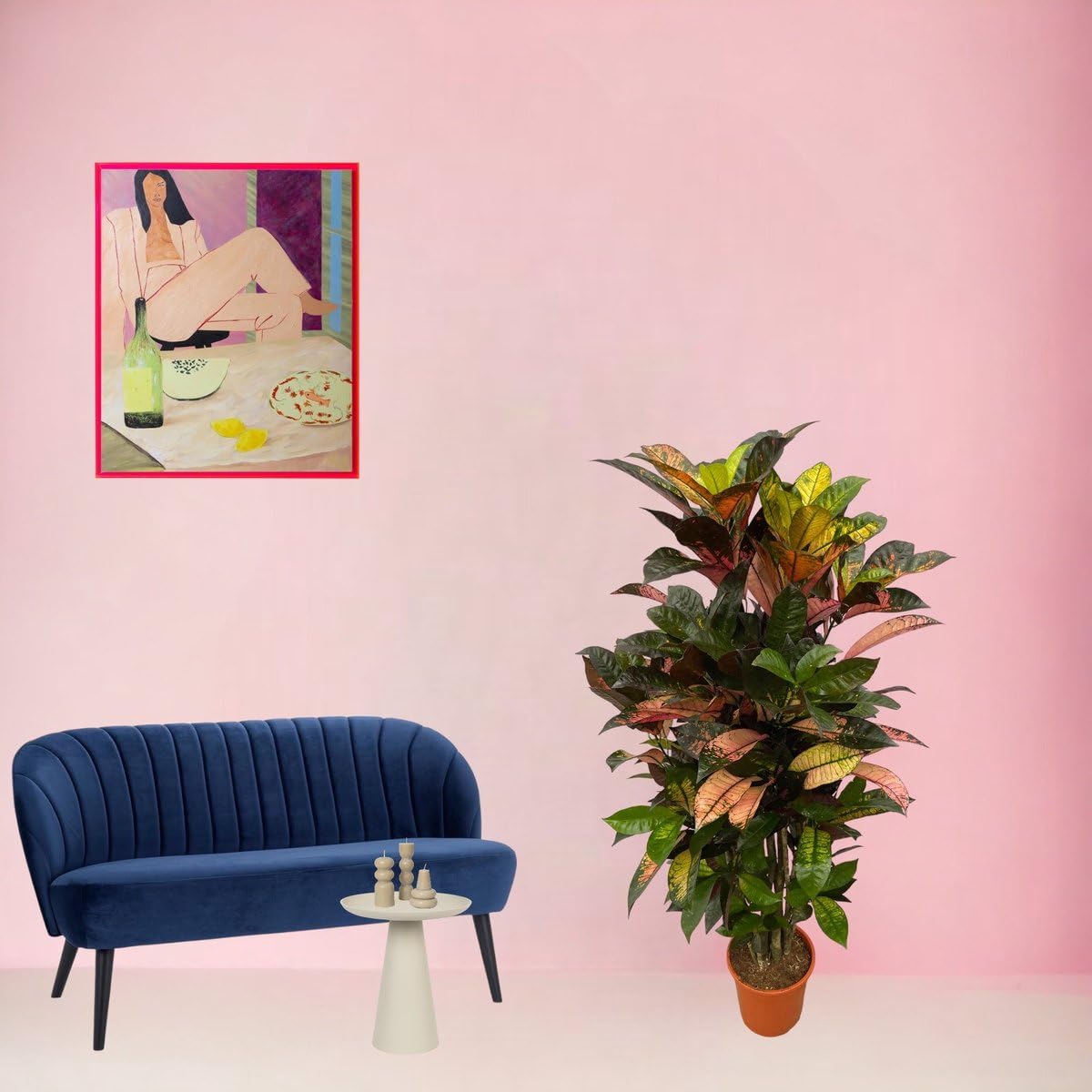 Trendyplants - Codiaeum Iceton rozgałęziony - Kroton - Roślina pokojowa - Wysokość 110-130 cm - Wielkość doniczki Ø 21 cm