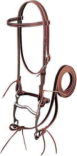 Weaver Leather Latigo - Brida de cuero con hebilla de mejilla única, color borgoña, caballo