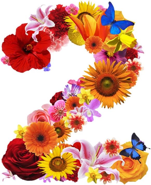 一文字からの ステッカー 花 フラワー Lサイズ 10cm 10cm アルファベット 英語 シール式 装飾 おしゃれ 壁紙 はがせる 剥がせる カッティングシート Wall Sticker 雑貨 ガラス 窓 Diy 北欧 おしゃれ 子供 お名前シール 2 Mojis Flowe0l2 Ds Faz Co Zm