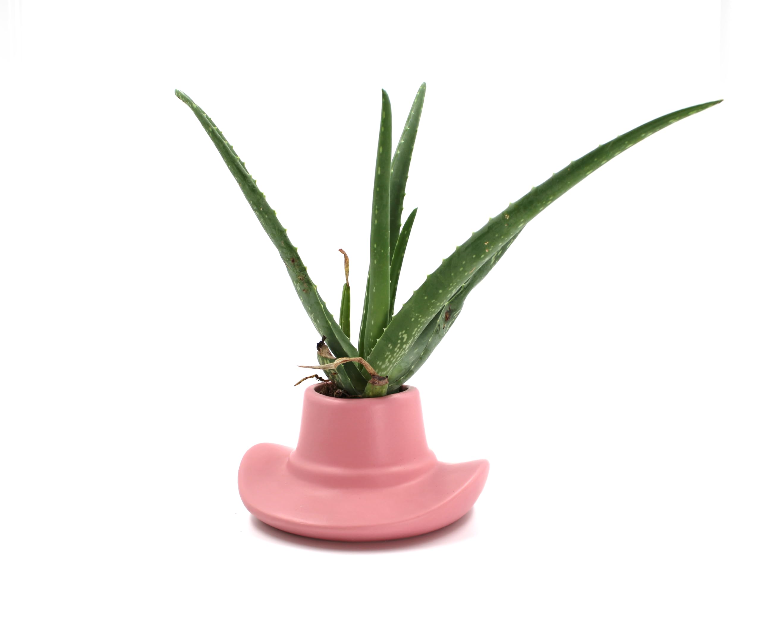 NPW Cowboy Hat Planter Western Themed Ceramic Flower Pot Indoor Outdoor Plant Decor, Fits Plants up to 2.5" for Her