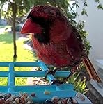 Review Image by The Marquis of Melbourne The Marquis of Melbourne