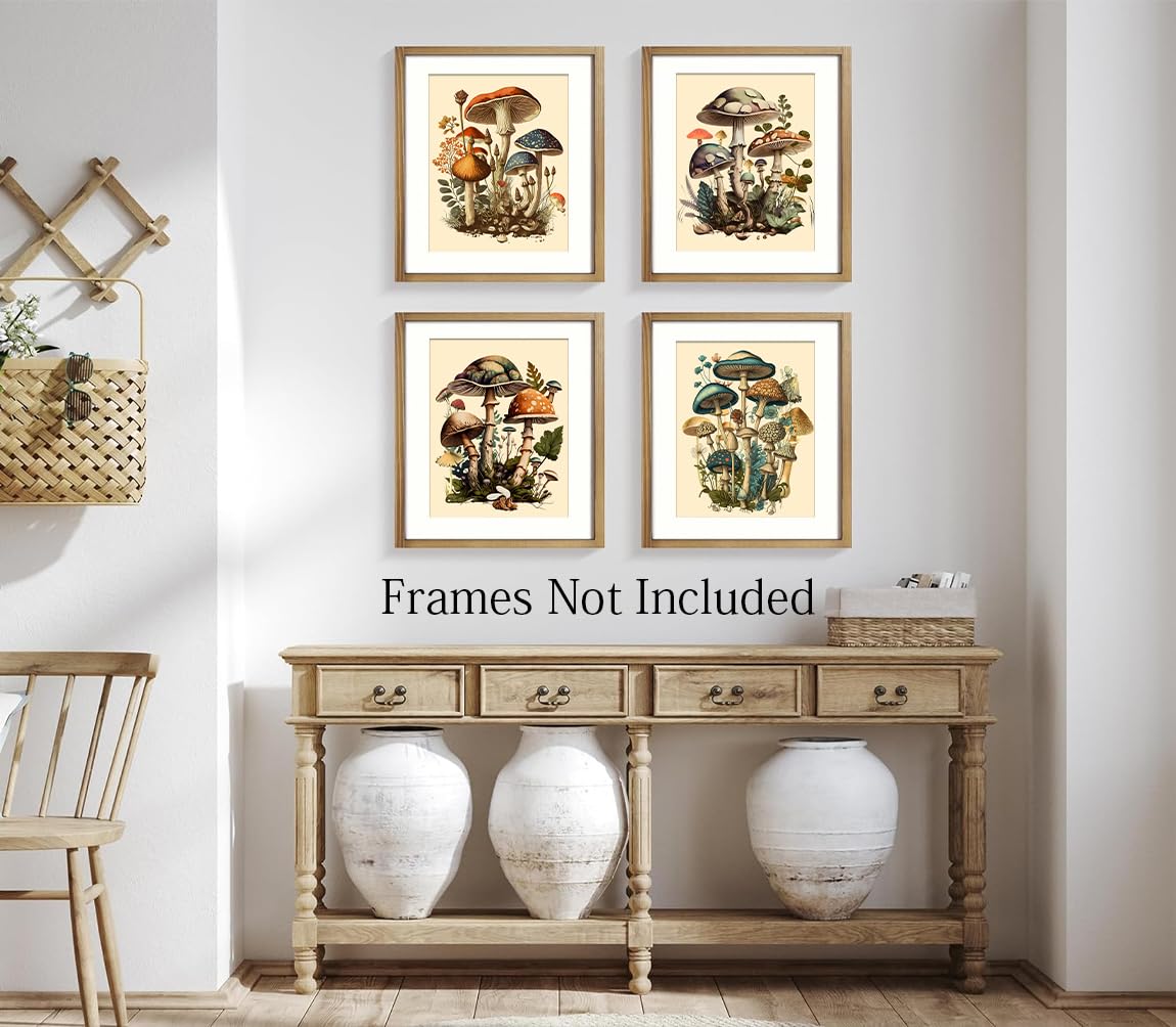 デンマークの図書館で購入!北欧キノコトレイFLORA 1761-1883 デンマークの図書館で購入!北欧キノコトレイFLORA 1761-1883