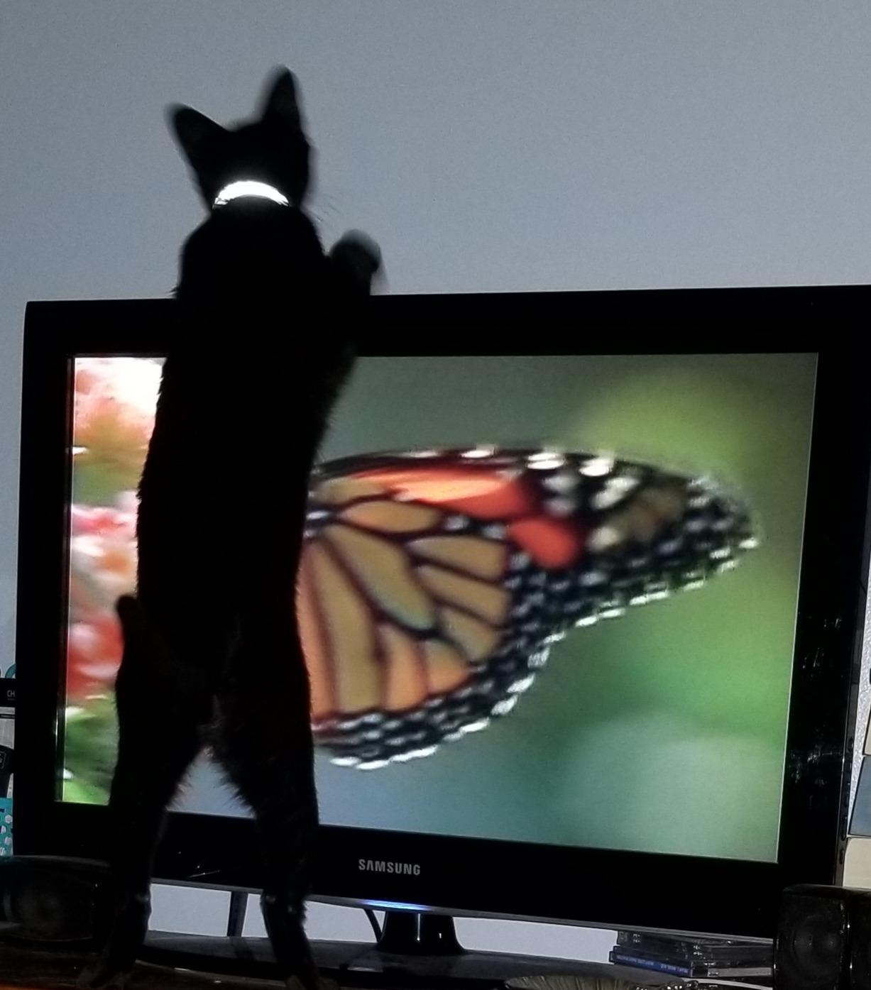 PERFECT WAITING ROOM BOOK