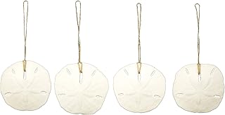 Natural Sand Dollar Ornament with Jute Ribbon 3"-4"