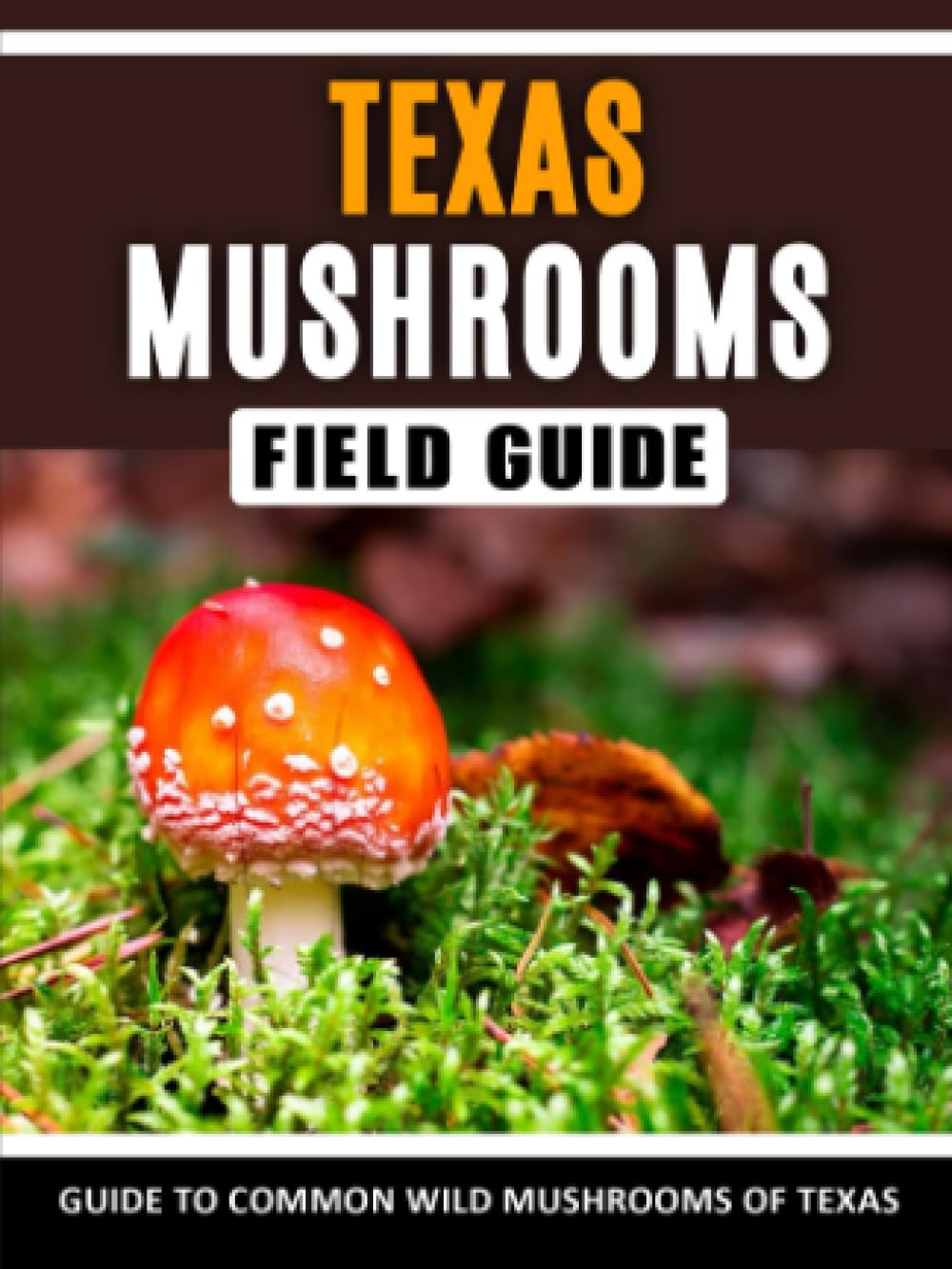 Mushrooms of Texas Identification Field Guide to Common Wild Mushrooms
