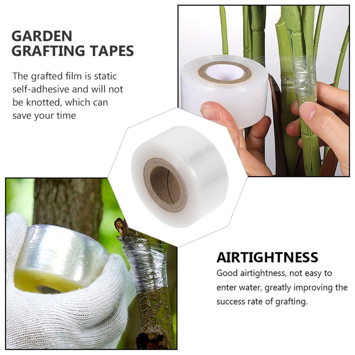 KICHOUSE Ruban de Greffage Autocollant 6 Rouleaux 30Mm X 100M Film Plastique pour Jardin et Bouturage des Plantes