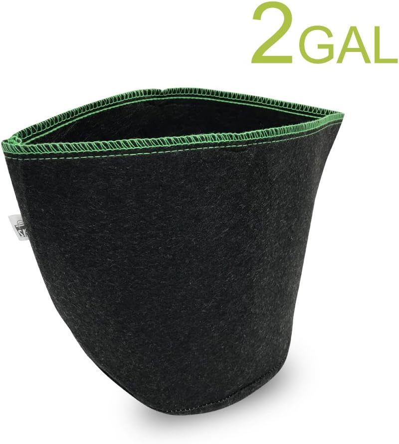 Hydroponic A Round Nonwoven Fabric Pot, Grow Bag 2 Gallon