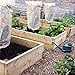Agfabric Plant Cover for Freeze Protection - 0.95 oz Fabric Warm Worth Frost Blanket 72