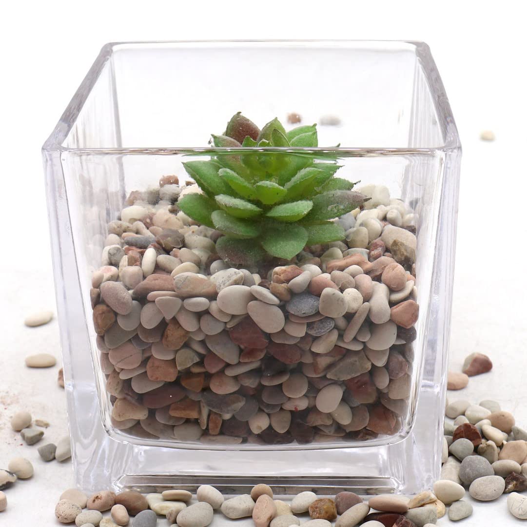 Kamienie do roślin, dekoracyjne kamyki, kolor ziemi, 1,27 cm – 4,5 kg, do ogrodu, wypełniaczy wazonów, majsterkowania, sukulentów, doniczek, roślin (mini (0,5 cm), mieszane kolory