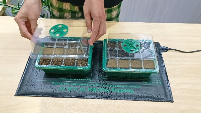 Estera Térmica Para Plántulas, Estera Calefactora De Semillas