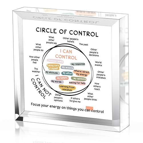 Mental Health Things I Can Control Decor - Therapy Office Acrylic Gifts - Psychology Art Decor for Treatment Room Office School Classroom - Art Decorations for Therapist Office Living Room Bedroom - Art Deco