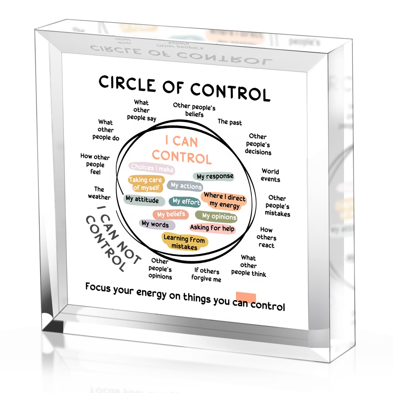 Mental Health Things I Can Control Decor - Therapy Office Acrylic Gifts - Psychology Art Decor for Treatment Room Office School Classroom - Art Decorations for Therapist Office Living Room Bedroom