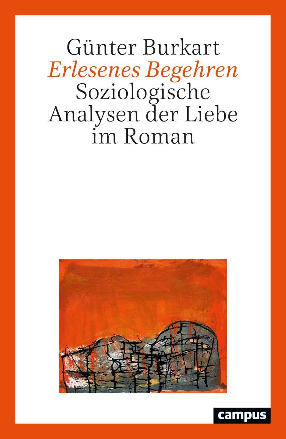 Erlesenes Begehren: Soziologische Analysen der Liebe im Roman