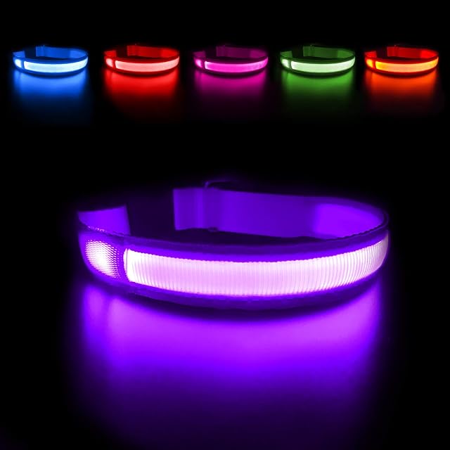 MASBRILL Light Up Dog Collar, LED Dog Collar Lights for the Dark, Rechargeable and Waterproof Flashing Dog Collars with 3 Glowing Modes, Adjustable Pet Collar for Small/Medium/Large Dog(Purple S)