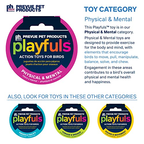 Image of Prevue Pet Products Bodacious Bites Ferris Wheel Bird Toy for Chewing | Accessories for Parakeets, Conures, Cockatiels, and Small to Large Birds, Hanging Cage Toy for Climbing