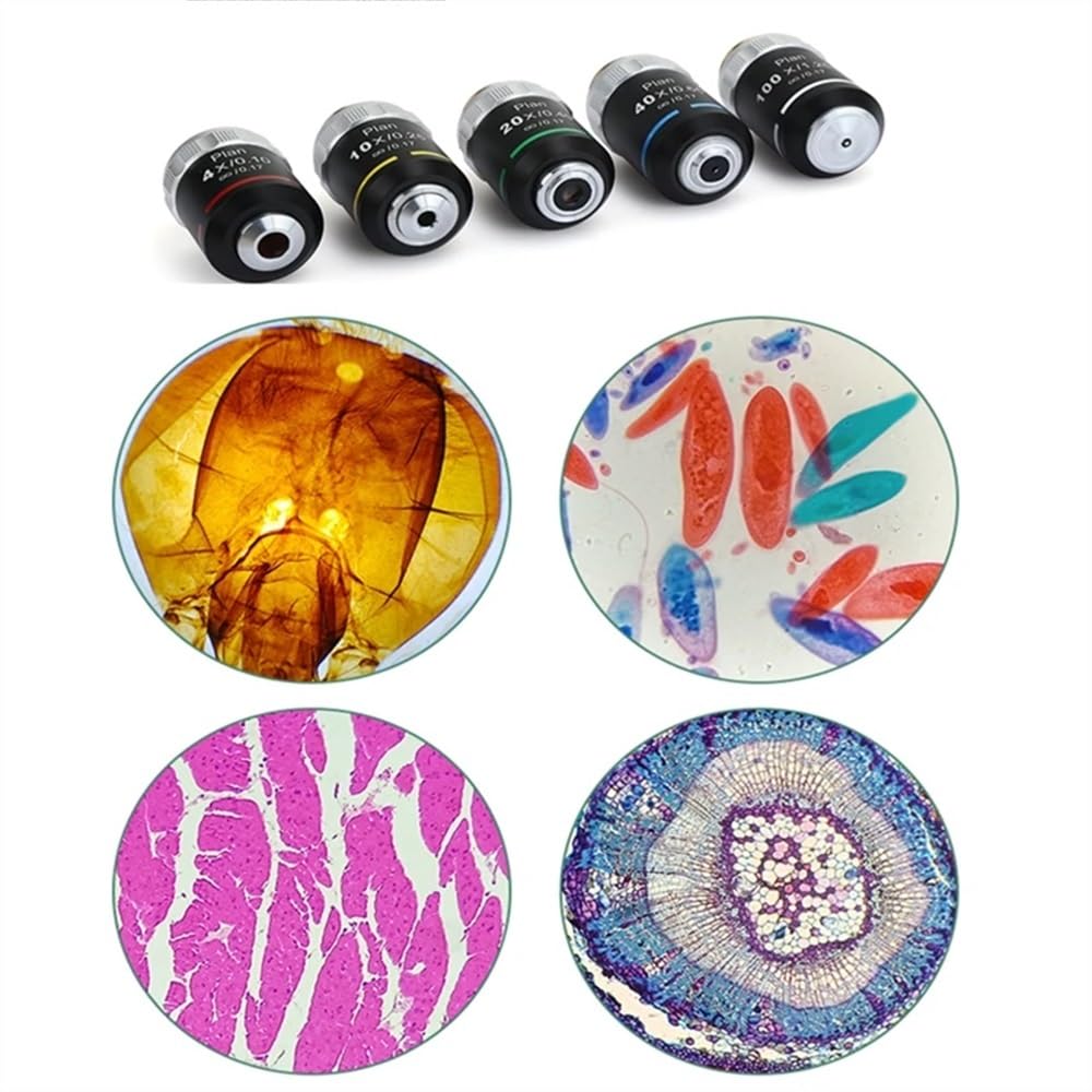 Objetivo de microscopio 195 Plan Infinity Objetivos acromáticos 4X 10X 20X 40X 100X Lente Objetivo RMS 20,2mm for microscopio biológico (Color : 4X)