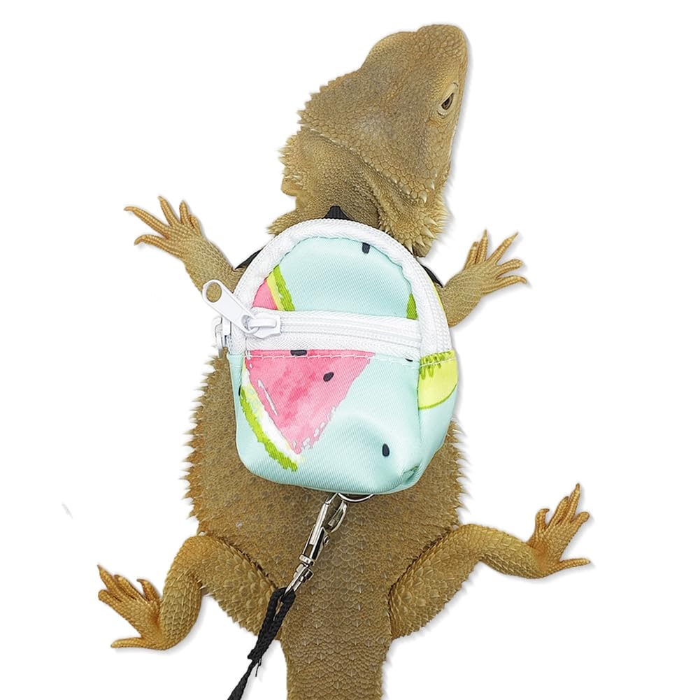 Bearded Dragons Harness Leashes Set Cute Backpack Back to School Design for Small Pets Reptile Lizard Crested Gecko Chameleon Rat Hamster Squrriel Ferret Photo Shoot (Flower)