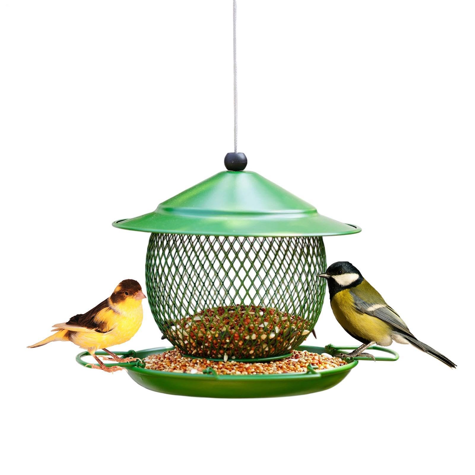 Mangeoire oiseaux sauvages pour colibris et moineaux de jardin