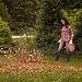 Soplador Electrico - GOXAWEE 600W Soplador Aspirador/Soplador de Aire de Velocidad Variable/Mini...