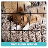 Dog Crate Extra Large Dog Puppy Pet Cage with 2 Doors (Front & Side), Large Dog Crate with Removal Tray,Folding Metal Pet Dog Puppy Training Cage Crate for Large Dogs (XXL 48") - Image 3
