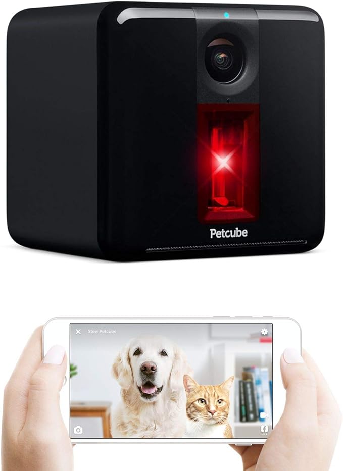 petcube camera