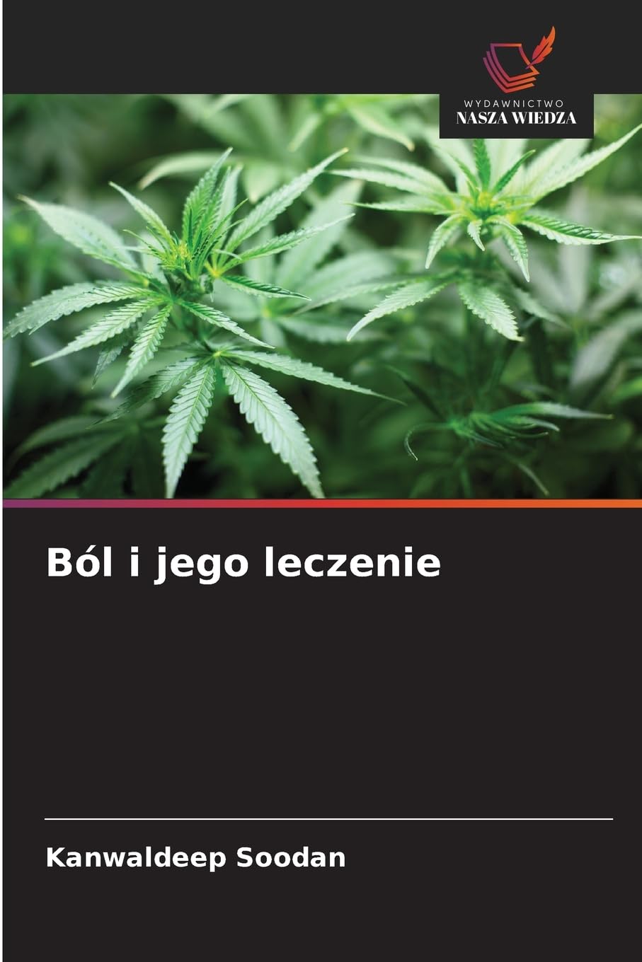 Ból i jego leczenie
