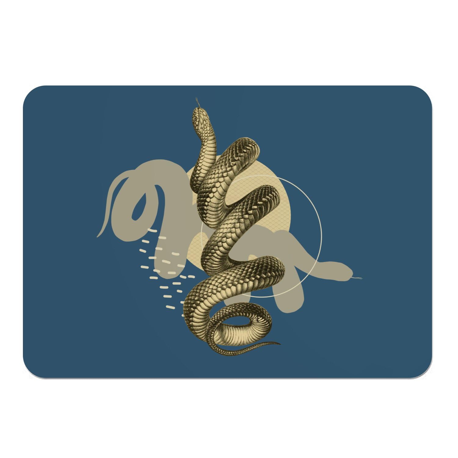Napperons bleu et serpent noir décoratifs pour repas de famille et dîners design