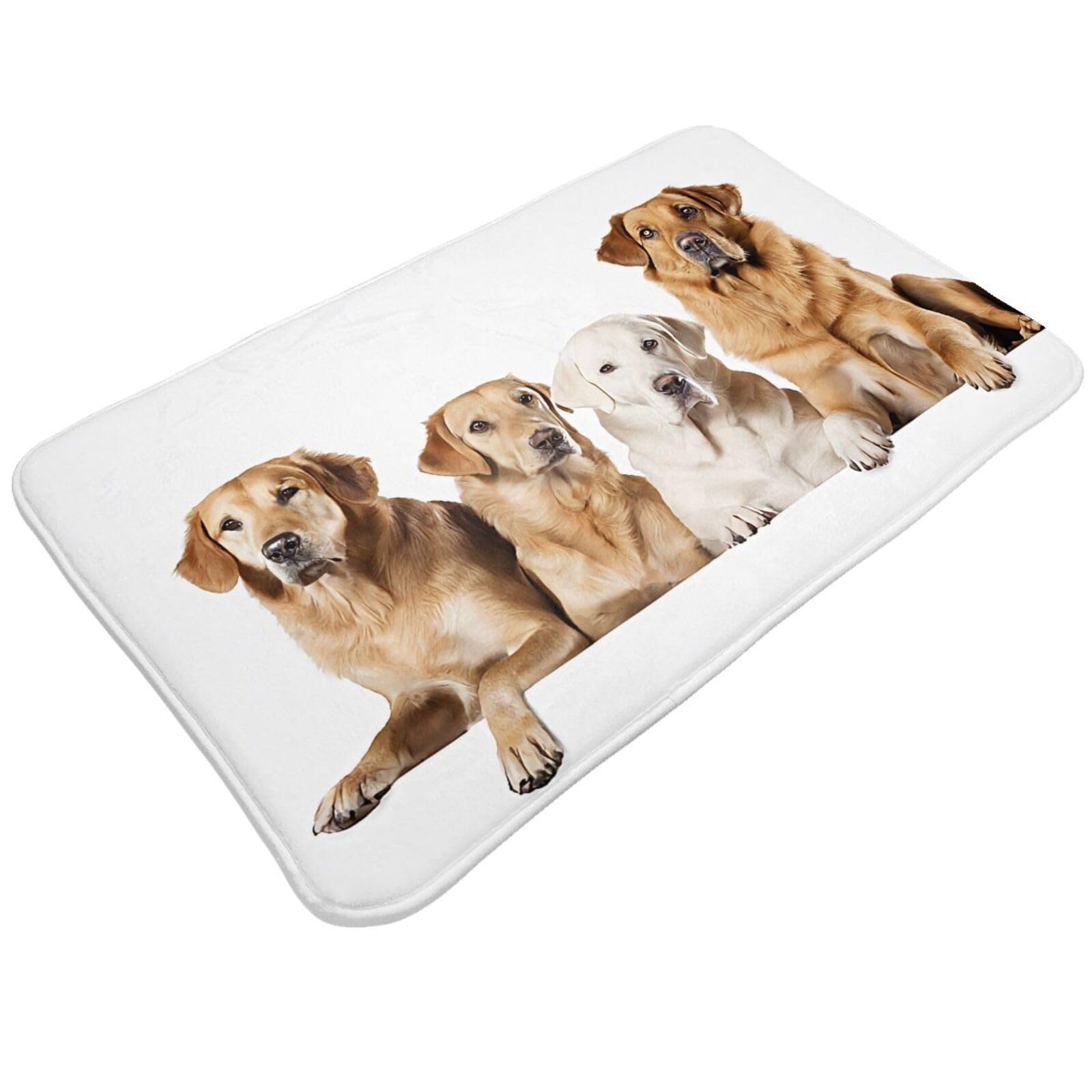 Pomeranians Pattern Print Living Room Bathroom Kitchen Anti Slip and Absorbent Carpet, Indoor Entrance Door Muddy Floor Mat, Ultra Soft Washable Carpet 21x31.5 Inches