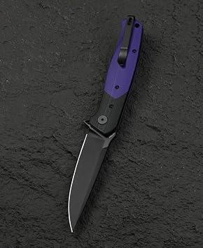 Bestech Knives BTKG62C: Swordfish Button Lock Purple