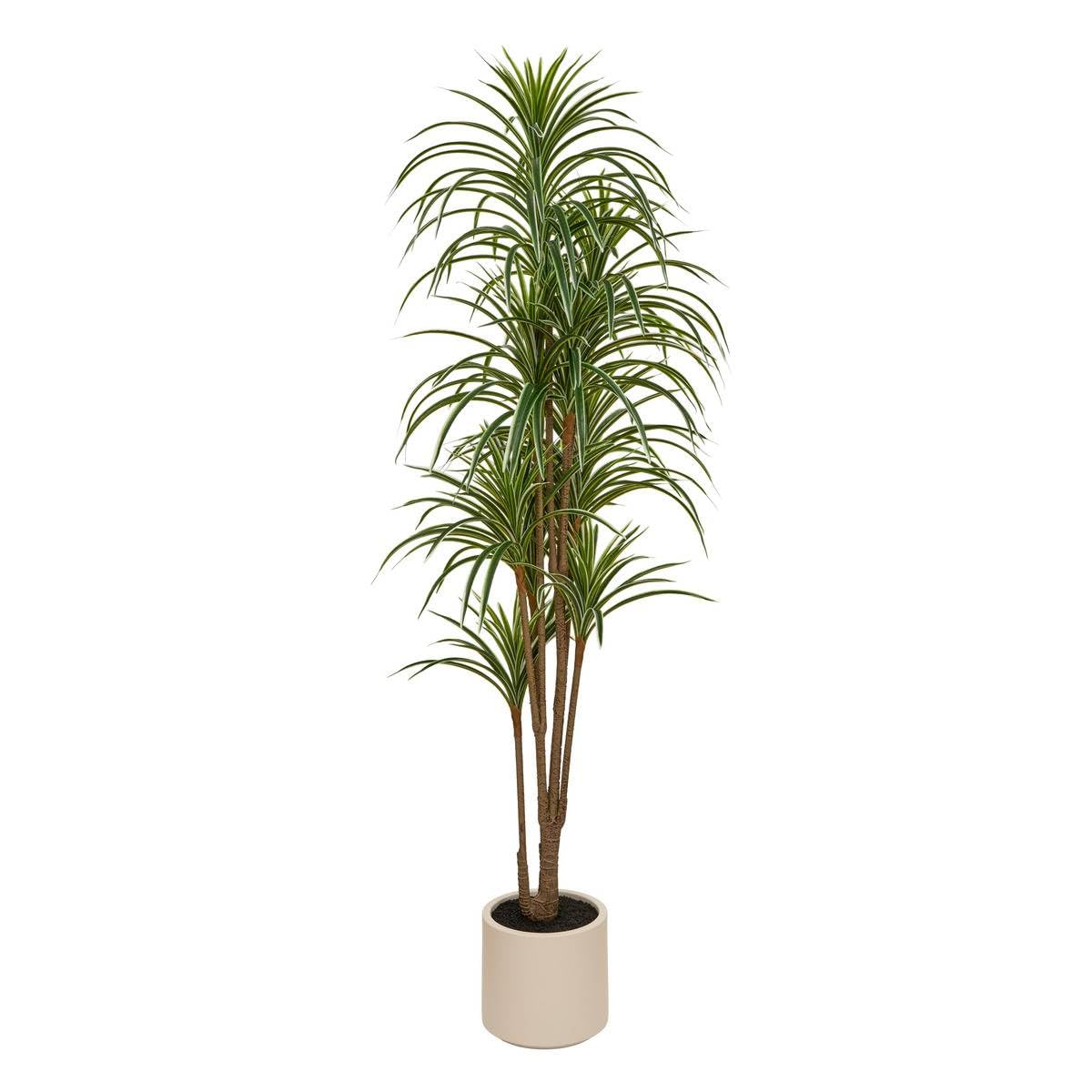 Dracena Vert EDI Atmosphera h.180cm avec son pot blanc design