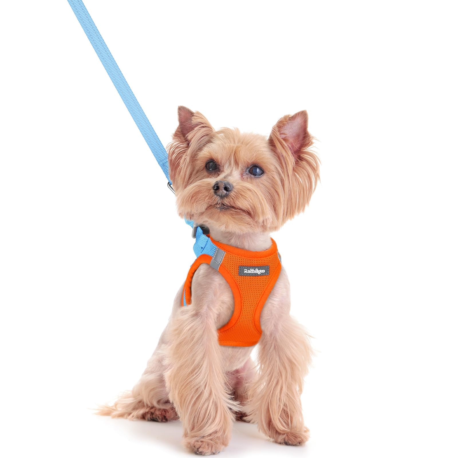 rabbitgoo Dog Harness Small Sized and Leash Set, Step-in Puppy Pet Vest