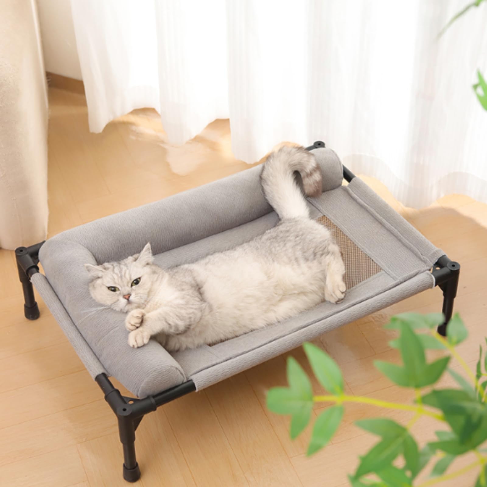 Cuccia Rialzata per Cani, Brandina Lavabile con Telaio Rialzato da Terra, Cuccia Traspirante per Gatti e Cani da Interno e Esterno, Gray, per Giardino, Terrazza, Patio, Gray, M
