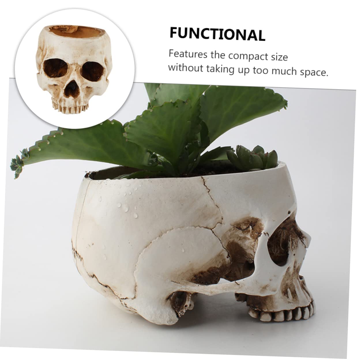 Amazon.co.jp: INOOMP シースカルデザインの樹脂製植木鉢 ヴィンテージ