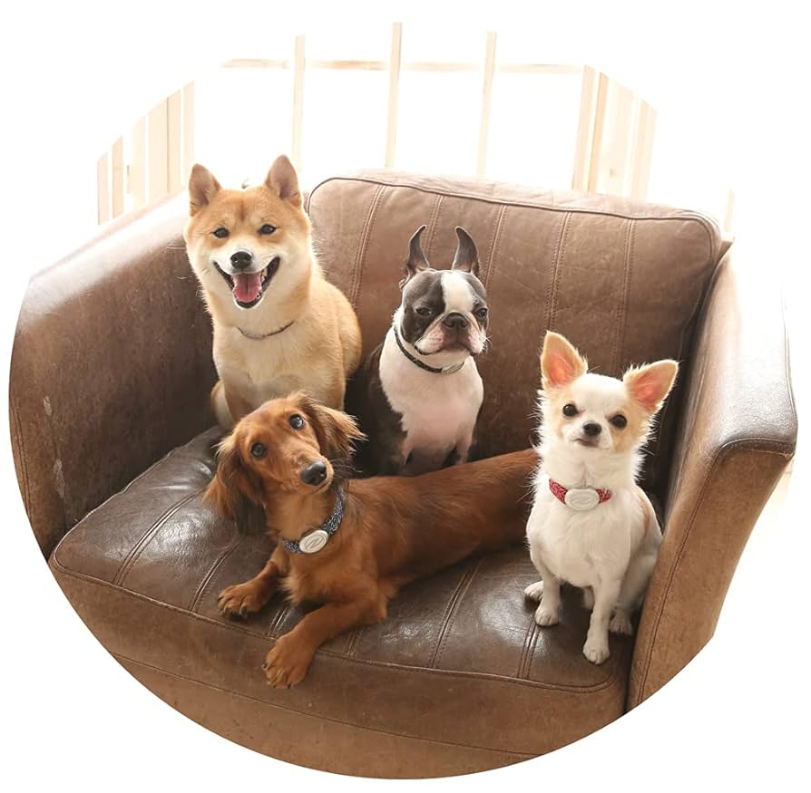 Amazon.co.jp: ザオラル リカバリーαバンド ネイビー/シルバー