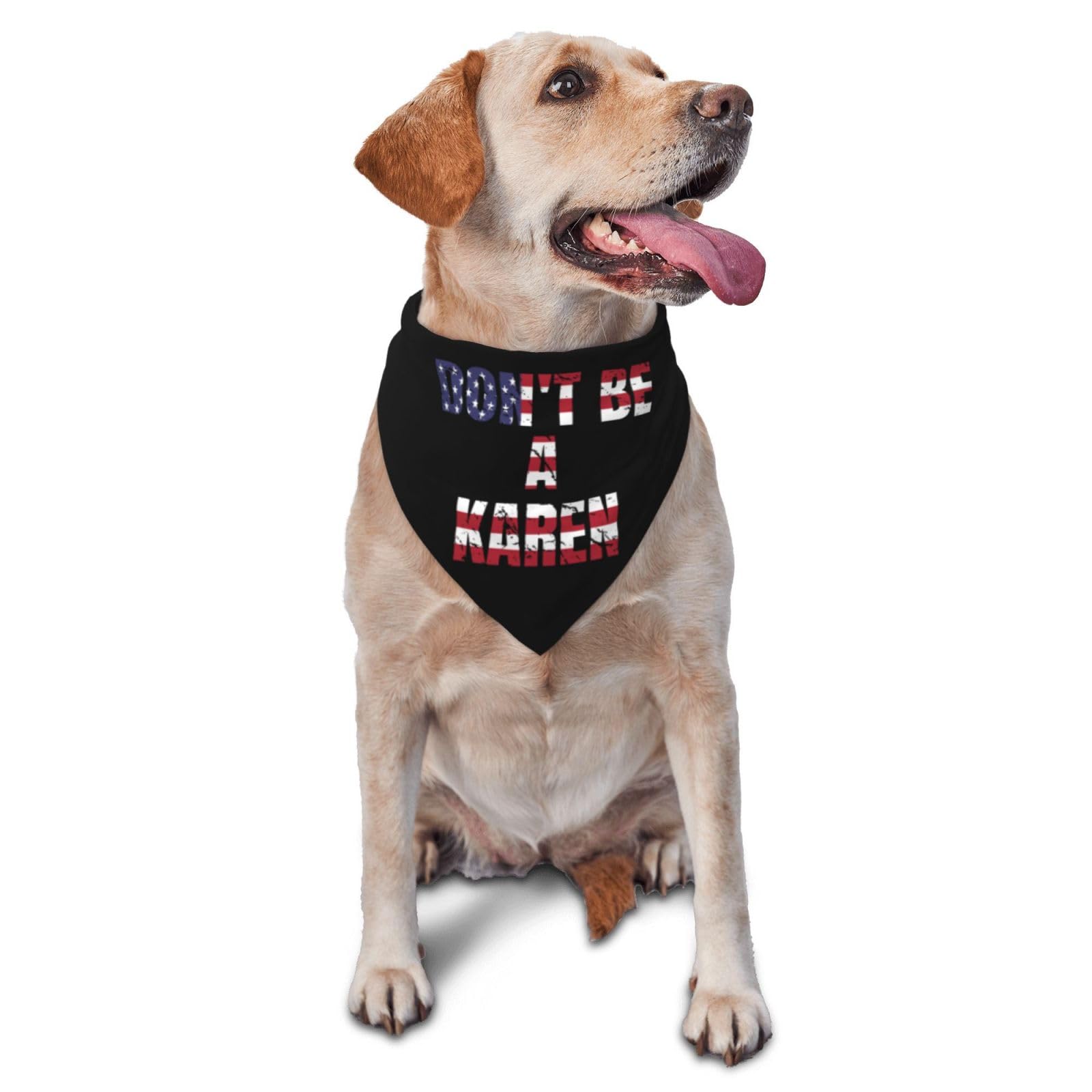 Don't Be A Karen Triangle Dog Bandana Scarf Accessories for Pet Bibs