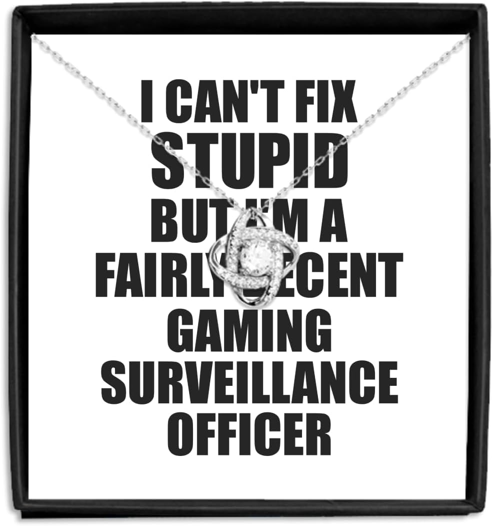 EzGift Funny Gaming Surveillance Officer Necklace Pendant I Can't Fix Stupid Gift Idea For Coworker Fellow Worker Gag Workmate Joke Fairly Decent Jewelry With Chain And Message Card Box