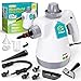 Rolipo Dampfreiniger Handgerät mit 12-Teiligem Zubehör, 1050W Steam Cleaner für Haushalt, Küche, Bad, Fenster, Polster & Auto–100% Chemiefrei, Hochdruck-Dampf gegen Schmutz Fett & Bakterien