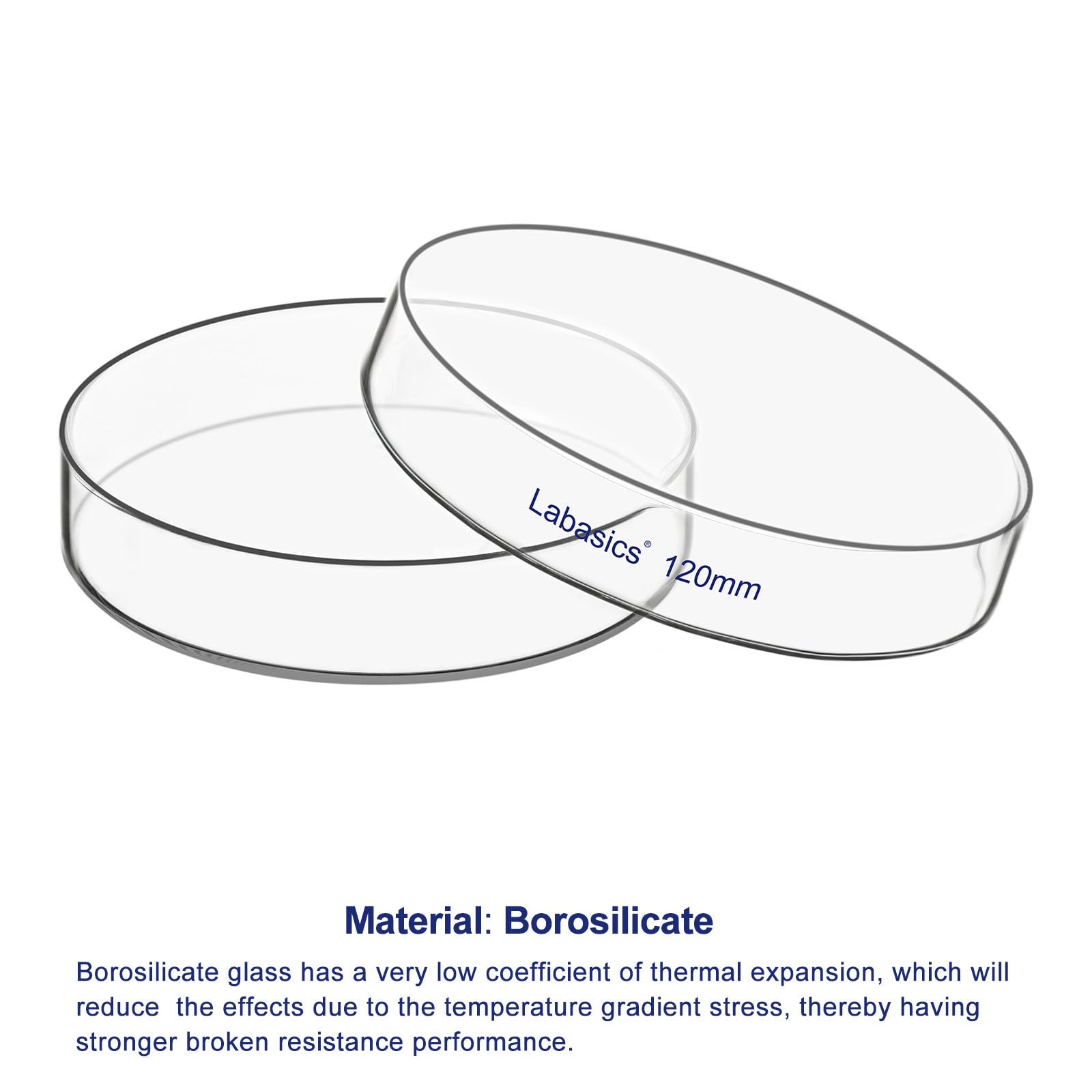 Labasics Piastra Petri con Coperchio, Vetro Borosilicato, Alta Trasparenza per Uso di Laboratorio, Ideale per Esperimenti Scientifici, Diametro 120 mm, 1 Pezzo