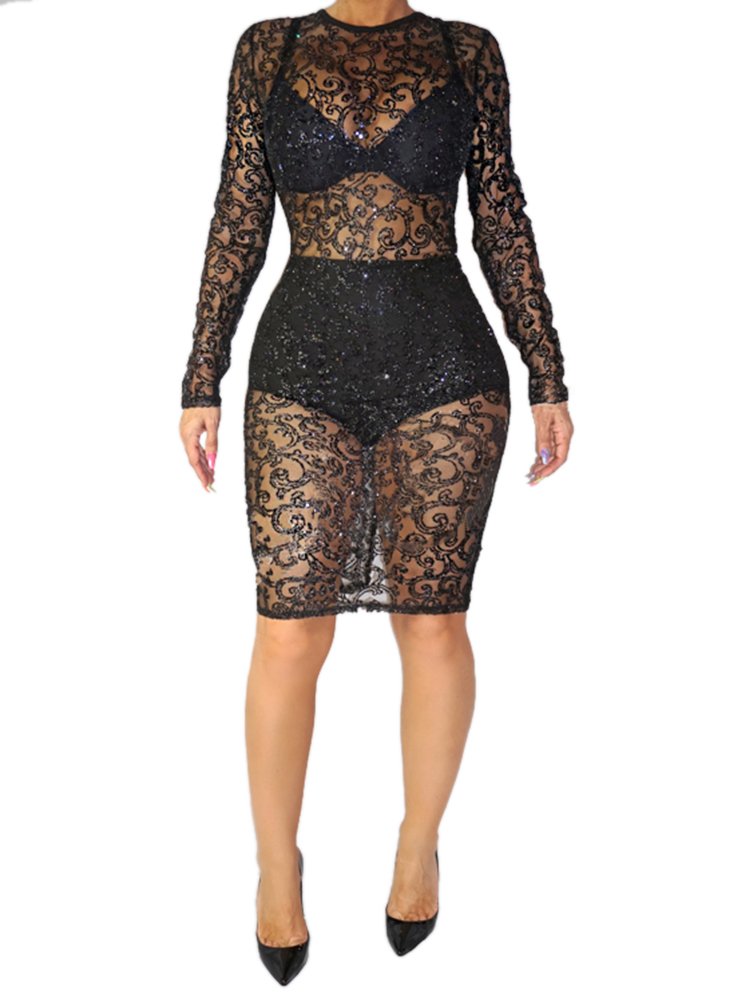 Women Sexy Round Neck Long Sleeves See-Through Khaki Lace Sheath Knee Length Dress with Briefs