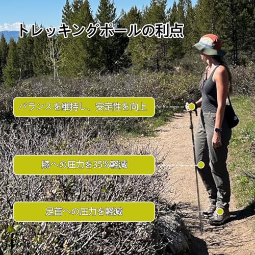 Aofong トレッキングポール A7075アルミ製