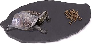 Reptile Basking Rock Plate Tortoise Feeding Platform Rock Slate Food Dish Habitat Decor for Bearded Dragon Lizard Crested Gecko Chameleon Snake