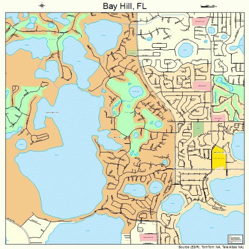 Large Street Road Map Of Bay Hill Florida FL Printed Poster Size 61BU31ALueL 