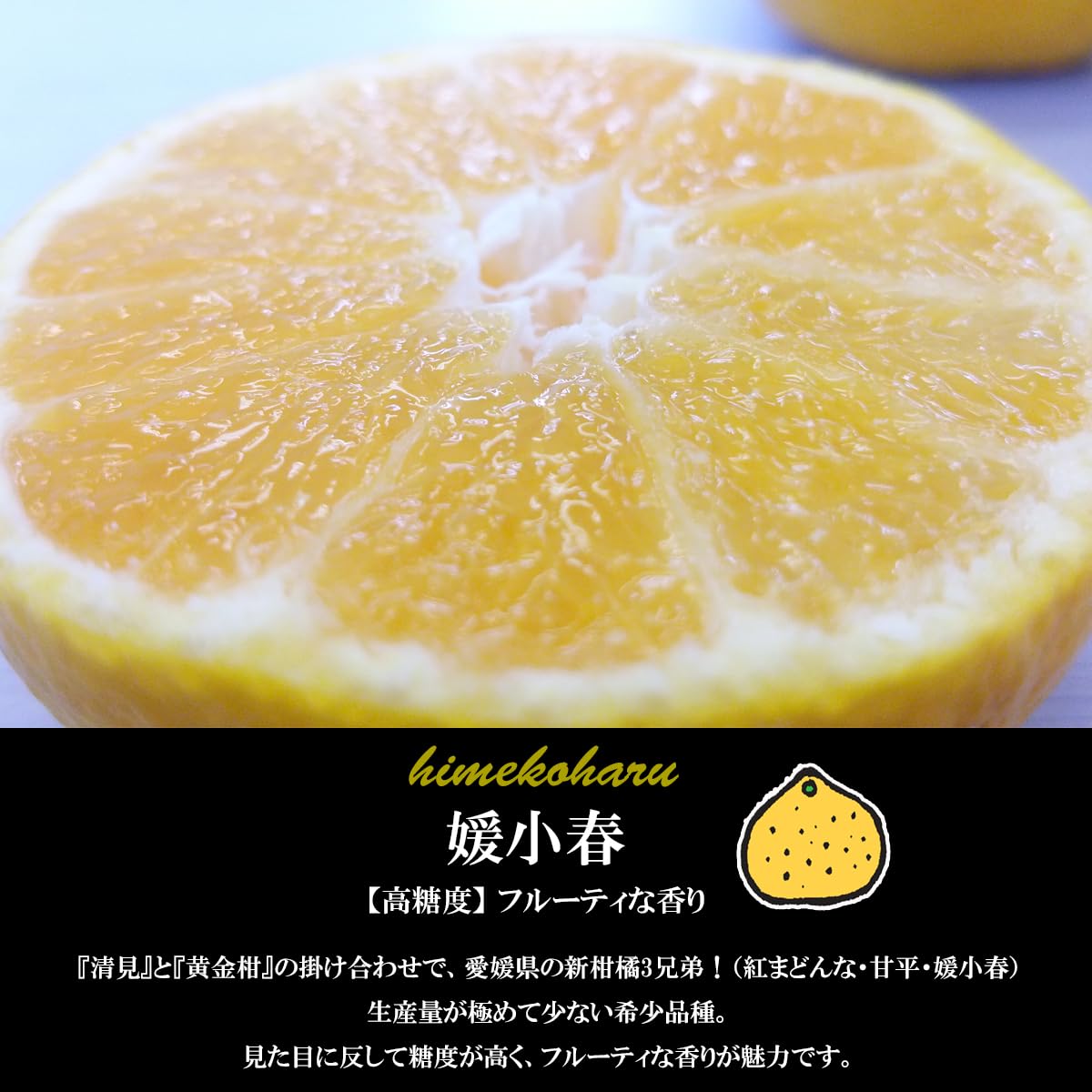 愛媛県中島産　甘平　家庭用　【注意必読】 Amazon.co.jp: 希望の島 甘平 5kg 訳あり品 サイズ込 愛媛 中島