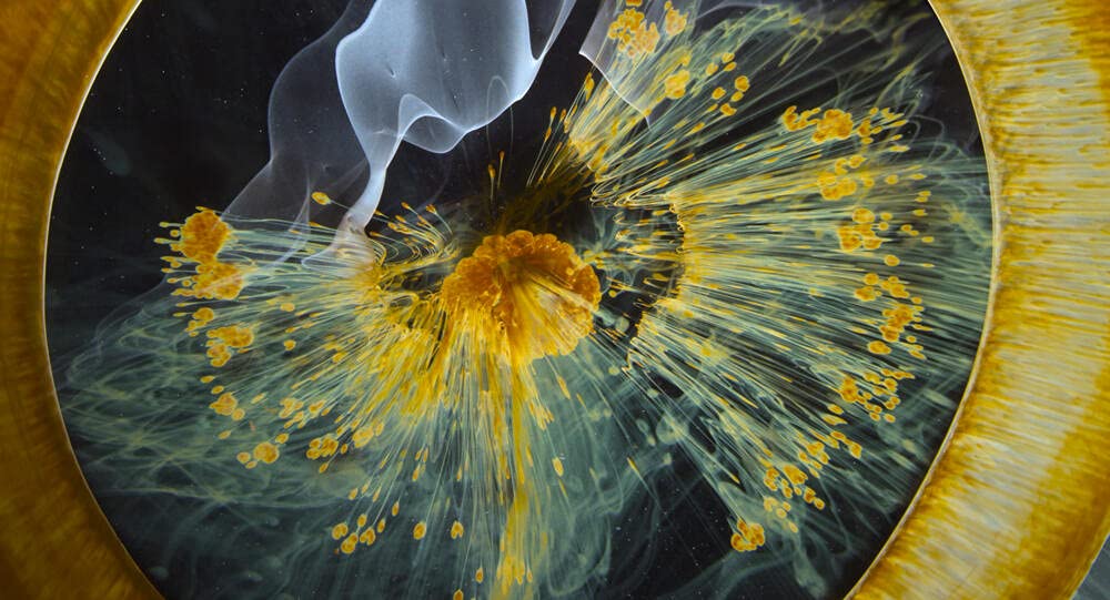 Voyage of time : au fil de la vie - bluray